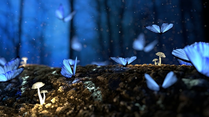 Enchanted watering methods
