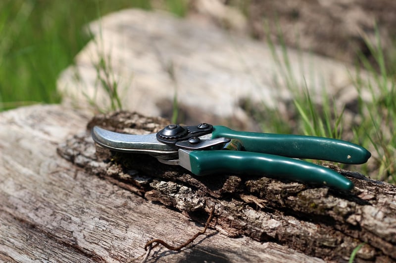 Mythical pruning techniques